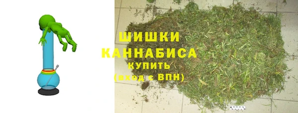 ПСИЛОЦИБИНОВЫЕ ГРИБЫ Абаза